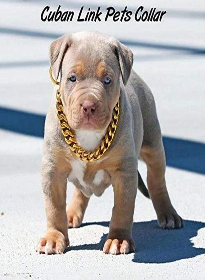 The DDS Store Dog's Pure Brass Grinder Design Training Choke Chain Collars (24 Inch Collar/2 cm Thick) Best for Labrador,Golden Retriever,American Pit Bull,Pit Bull,Rottweiler,Bulldog,German Shepherd - Image 2